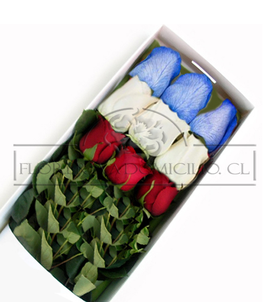 Caja de 09 Rosas Colores de la Bandera Chilena